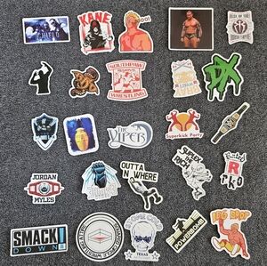 WWE themed stickers, wrestling fans, Journaling stationary, 25pc no repeats